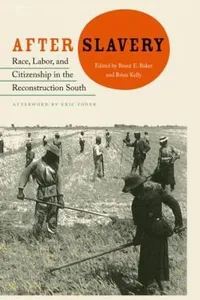 After Slavery Race Labor And Citizenship In The Reconstruction South