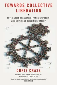 Towards Collective Liberation Antiracist Organizing Feminist Praxis And Movement Building Strategy
