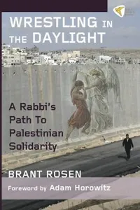 Wrestling In The Daylight A Rabbis Path To Palestinian Solidarity