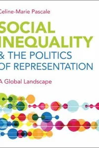 Social Inequality The Politics Of Representation A Global Landscape