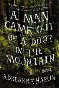 A Man Came Out Of A Door In The Mountain A Novel