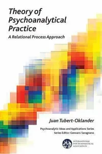 Theory of Psychoanalytical Practice A Relational Process Approach IPA