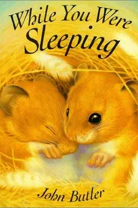 Cover of While you were sleeping