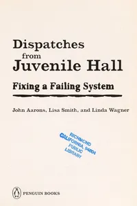 Dispatches from juvenile hall