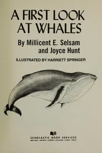 A first look at whales