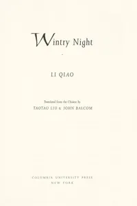 Wintry night