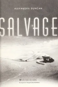 Cover of Salvage