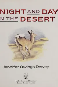 A night and day in the desert