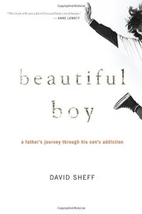 Cover of Beautiful Boy by David Sheff