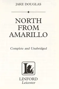 North from Amarillo