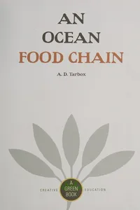 A mountain food chain