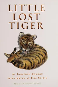 Little lost tiger