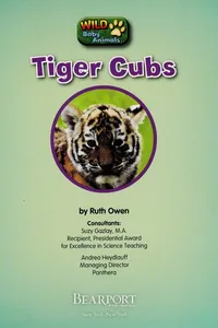 Tiger cubs