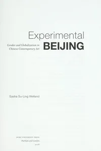Experimental Beijing