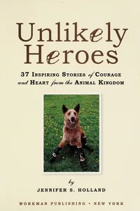 Unlikely heroes