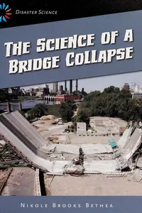 The science of a bridge collapse