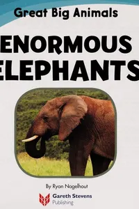 Enormous elephants