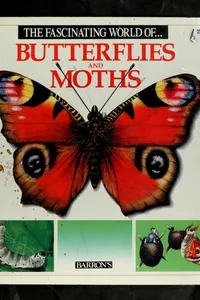 The fascinating world of butterflies and moths