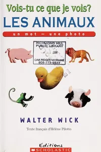 Vois-tu ce que je vois?