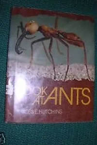 A look at ants