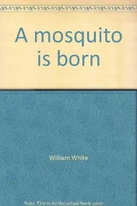A mosquito is born