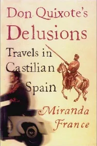 Don Quixote's Delusions