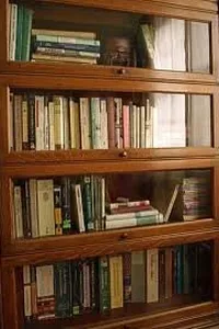 Monastic reform, Catharism, and the Crusades, (900-1300)