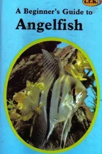 A beginner's guide to angelfish
