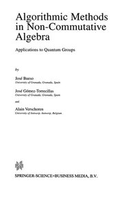 Algorithmic Methods in Non-Commutative Algebra