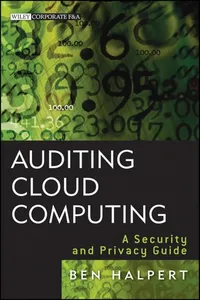 Auditing cloud computing