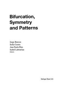 Bifurcation, Symmetry and Patterns