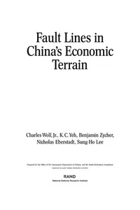 Fault lines in China's economic terrain