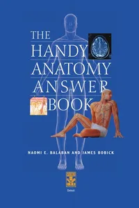 The handy anatomy answer book