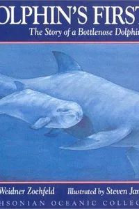 Dolphin's First Day