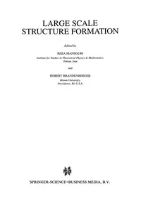 Large Scale Structure Formation