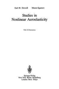 Studies in Nonlinear Aeroelasticity