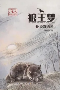Lang wang meng