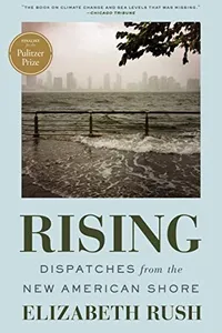 Cover of Rising