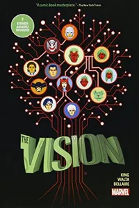Capa de The Vision