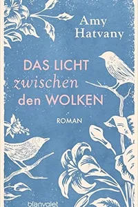 Das Licht zwischen den Wolken