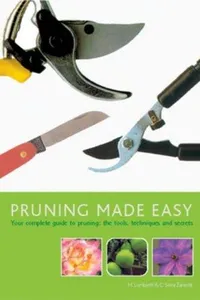 Pruning made easy