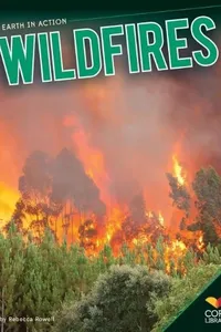 Capa de Wildfires