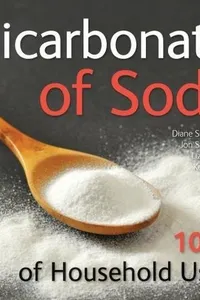 Bicarbonate of Soda