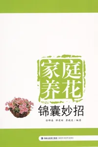 Jia ting yang hua jin nang miao zhao