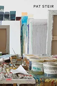Cover of Pat Steir