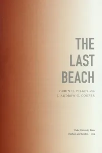 The last beach