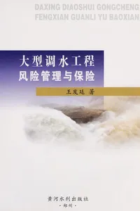 Da xing diao shui gong cheng feng xian guan li yu bao xian