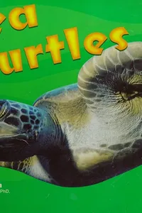 Sea Turtles