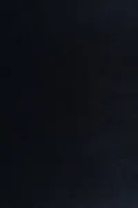 Intelligenzprüfungen an Menschenaffen