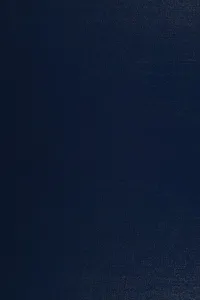 Modern Japanese prints: an art reborn